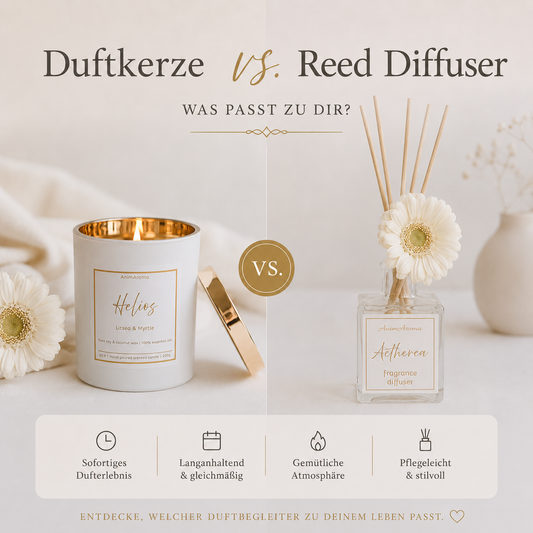 Reed Diffuser vs. Duftkerze – AnimAroma Raumduft Vergleich